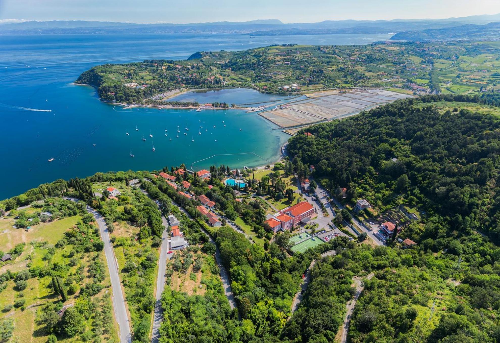 Sea View Apartment Renzzo Strunjan Εξωτερικό φωτογραφία
