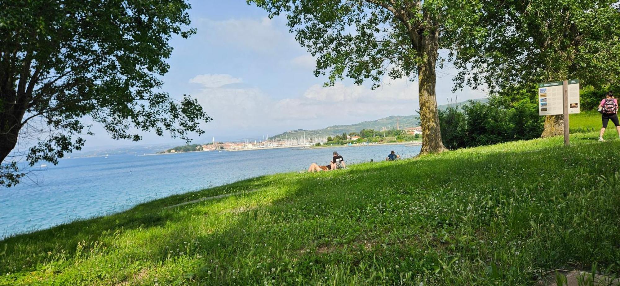 Sea View Apartment Renzzo Strunjan Εξωτερικό φωτογραφία