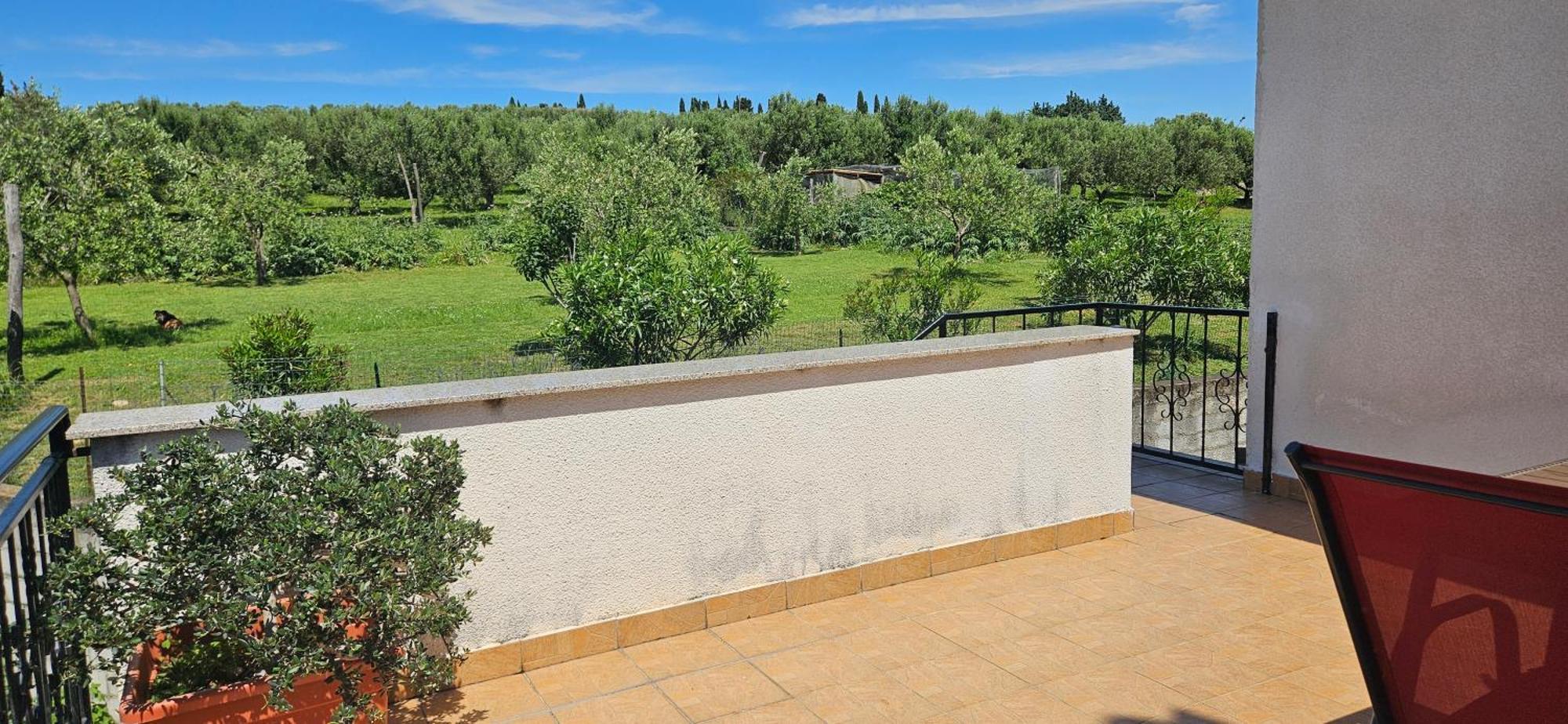 Sea View Apartment Renzzo Strunjan Εξωτερικό φωτογραφία